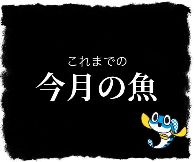 これまでの今月の魚