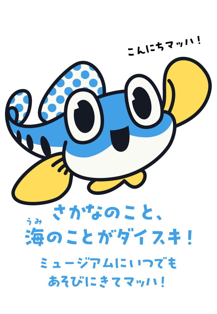 こんにちマッハ！さかなのこと、海のことがダイスキ！ミュージアムにいつでもあそびにきてマッハ！