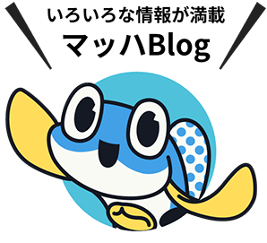 いろんな海の情報が満載！マッハBlog