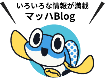 いろんな海の情報が満載！マッハBlog