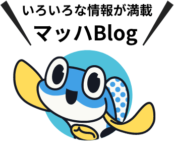 いろんな海の情報が満載！マッハBlog