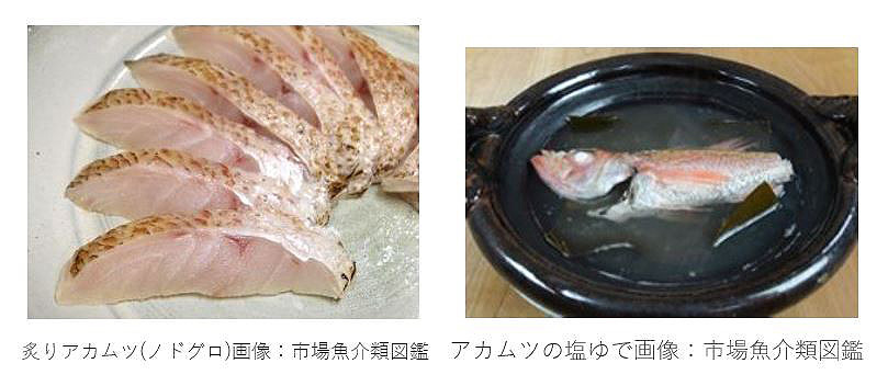 炙りアカムツ　アカムツの塩ゆで