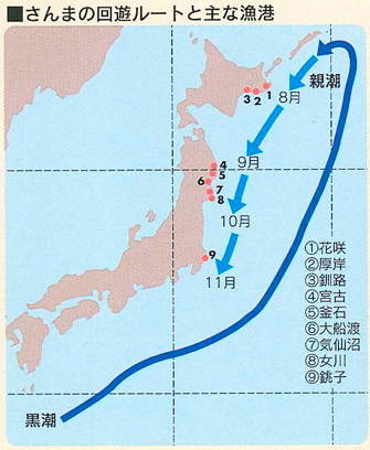 さんまの回遊ルート