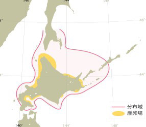 ニシンの産卵場と分布域