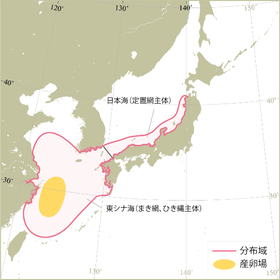 東シナ海グループの分布域と産卵場