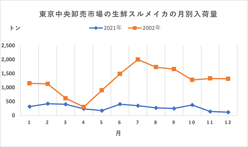 東京都中央卸売市場の生鮮スルメイカの月別入荷量