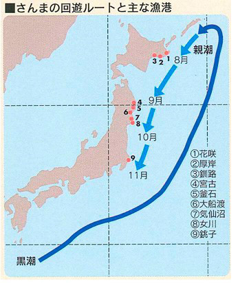 さんまの回遊ルートと主な漁港