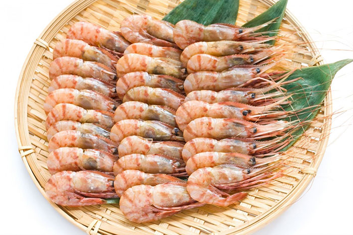 ホッカイエビ
