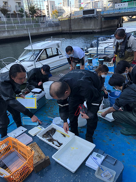 石倉カゴ生物調査