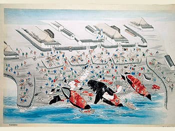 第1部 クジラが人類にもたらした恵み。 写真