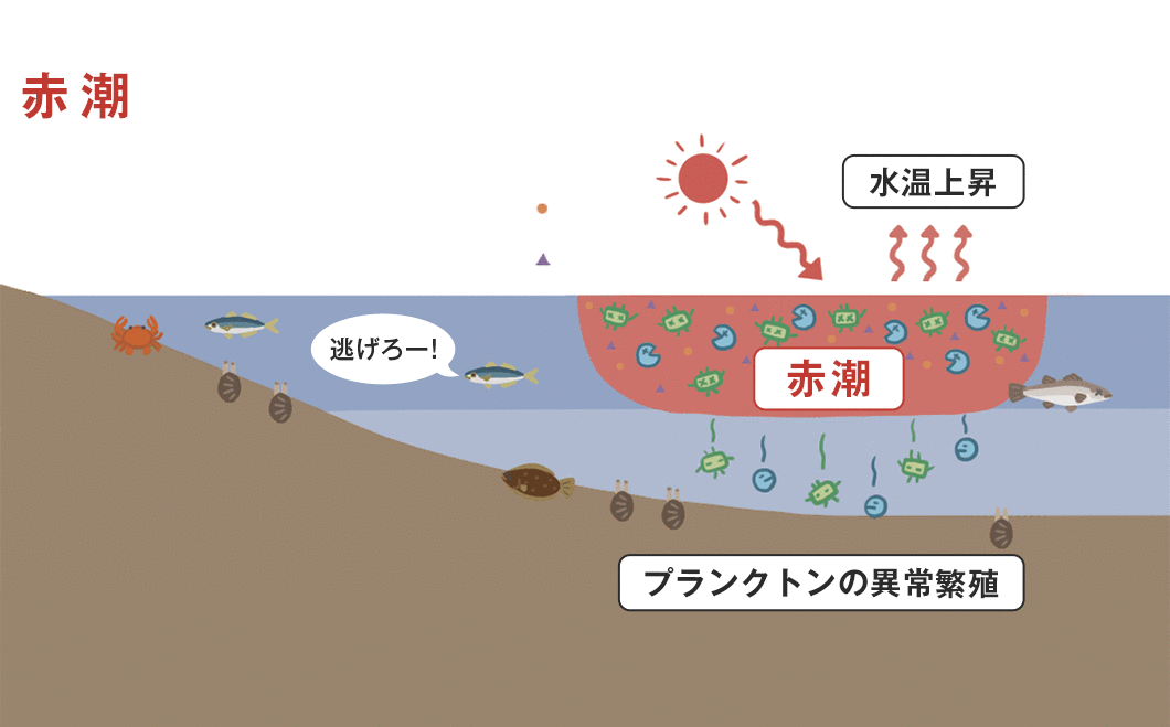 赤潮の図解