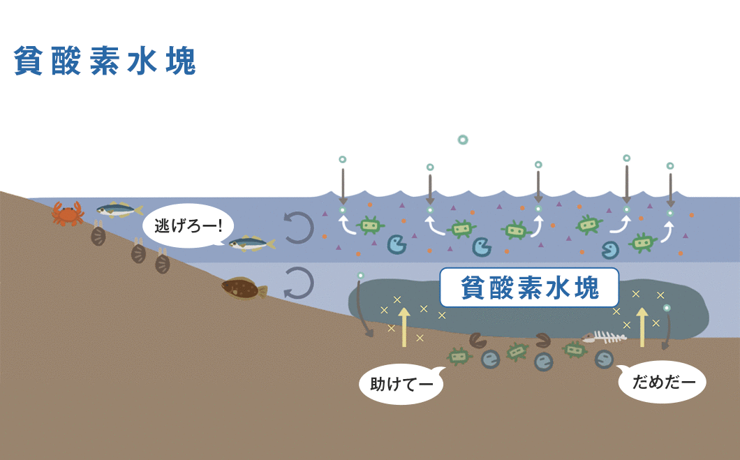 貧酸素水塊の図解