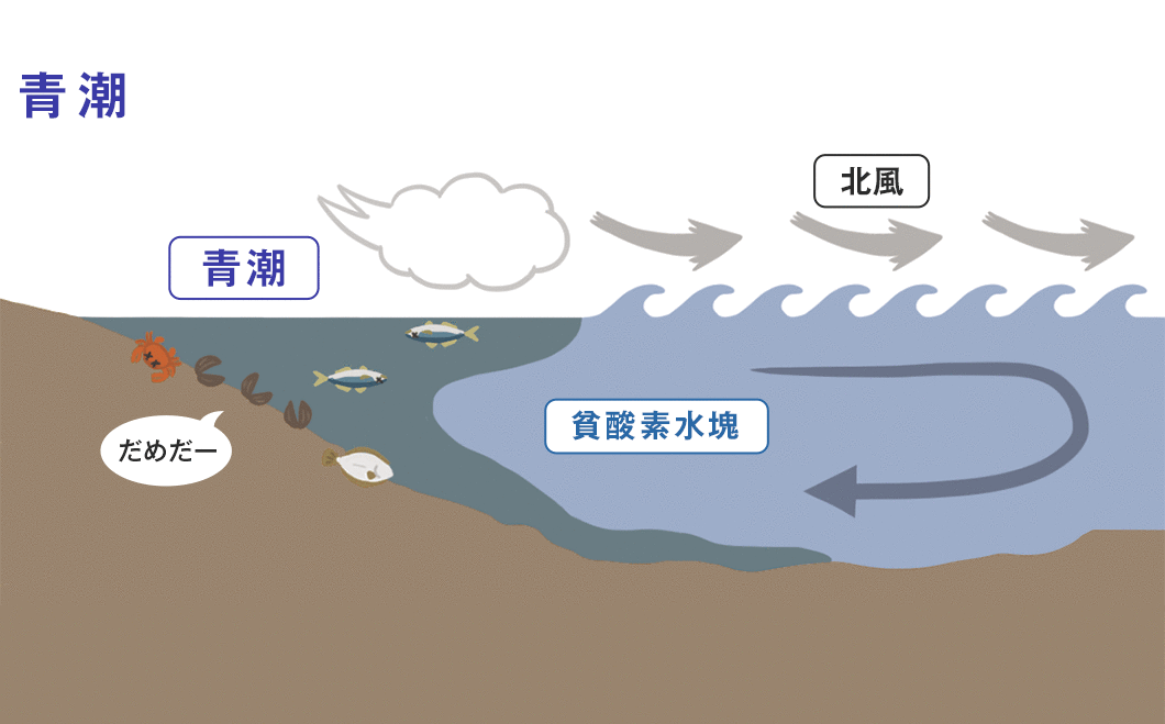 青潮の図解