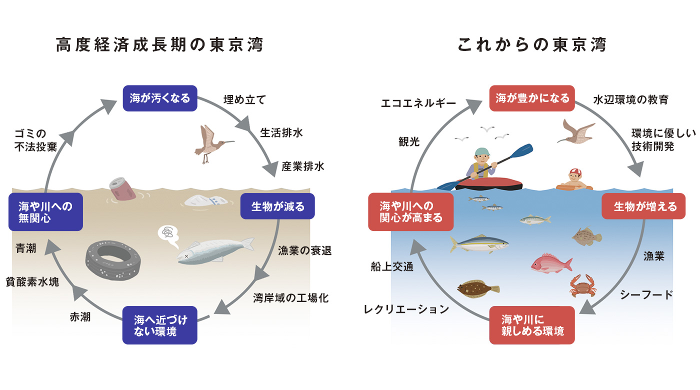 東京湾の循環モデル 図解