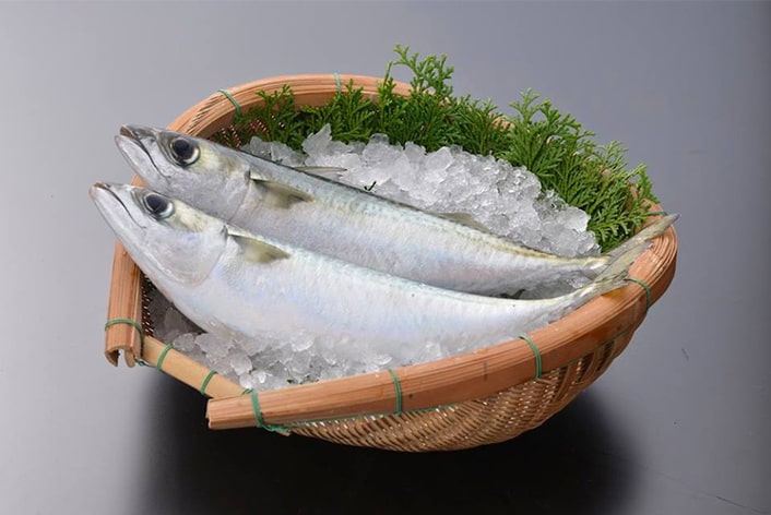 鯖の写真