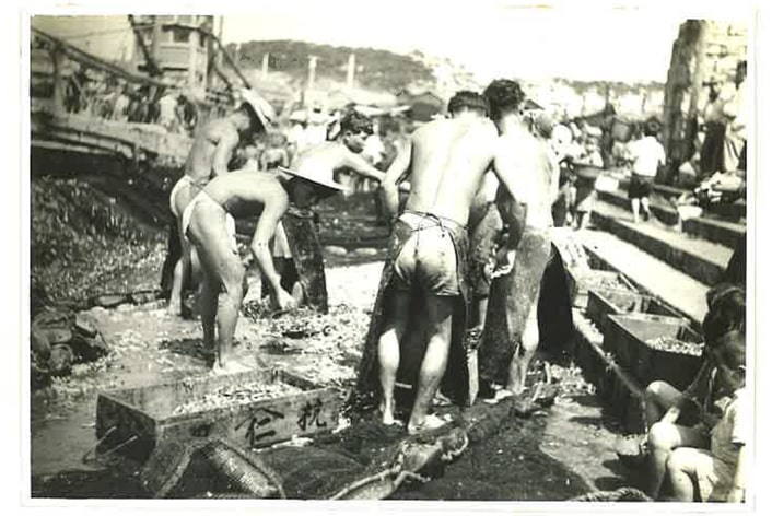 銚子魚市場の水揚げ風景の写真