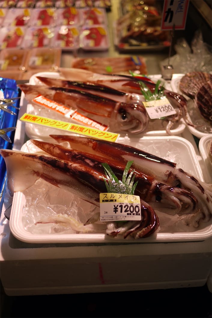 スルメイカの写真