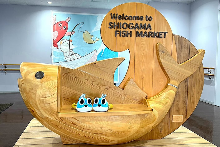 マッハと塩竈魚市場　児玉絵美