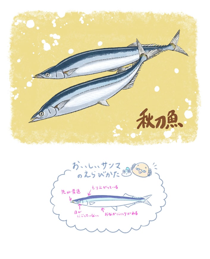 サンマ（ナルシマヒカリ）