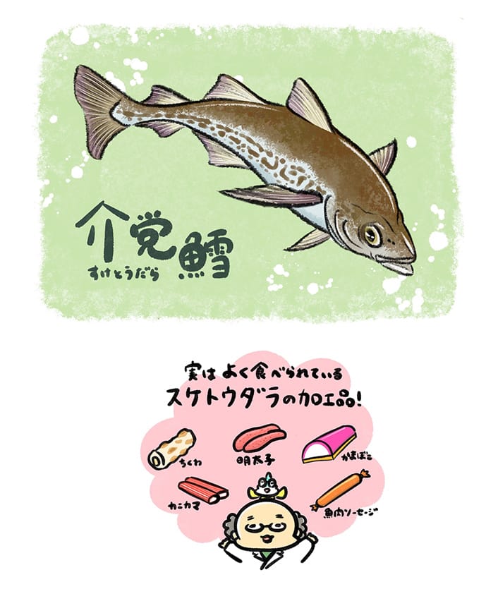 スケトウダラ（ナルシマヒカリ）